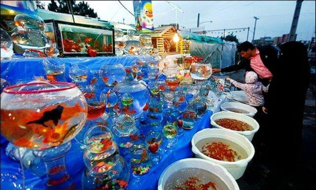 فروش ماهی قرمز نوروز ممنوع گردد