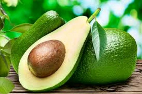 دانه ها این گیاه چالش بزرگ زمین را حل کرد