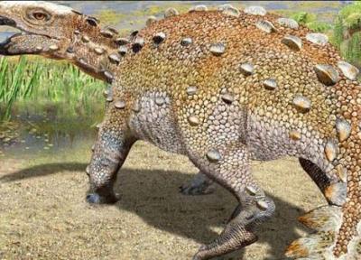 عجیب ترین دم دایناسور را ببینید