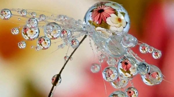 فال روزانه شخصی ، 11 دی ماه